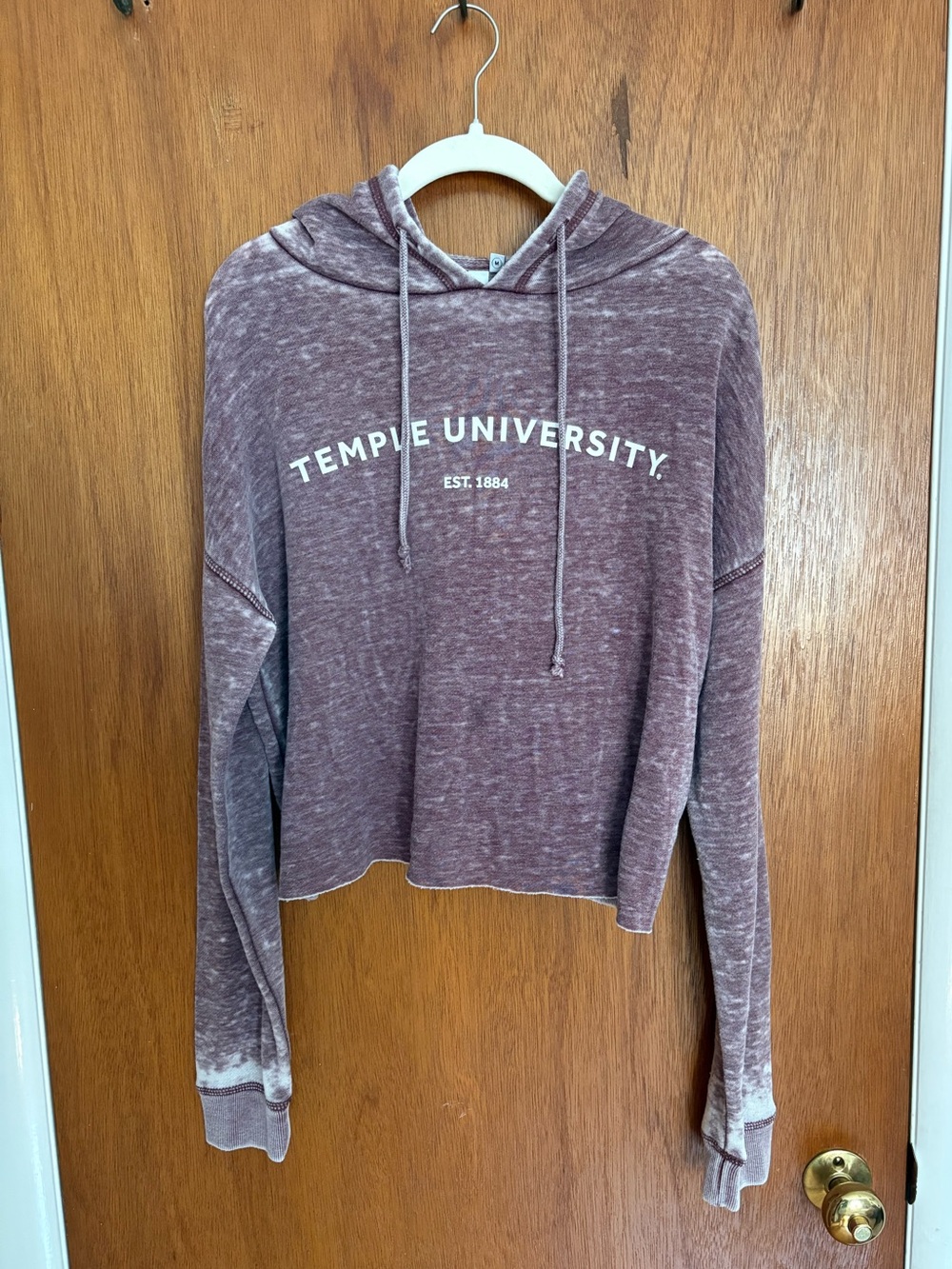 Temple University Cropped Hoodie
